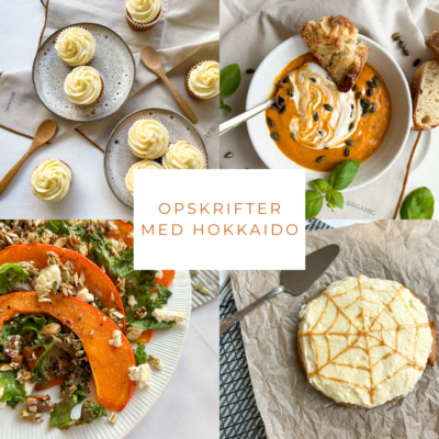 opskrifter med hokkaido