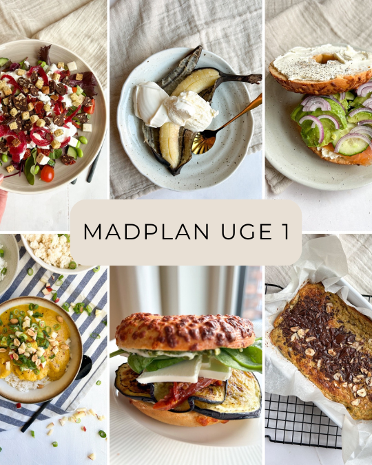 MADPLAN UGE 1
