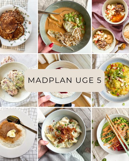 Madplan uge 5