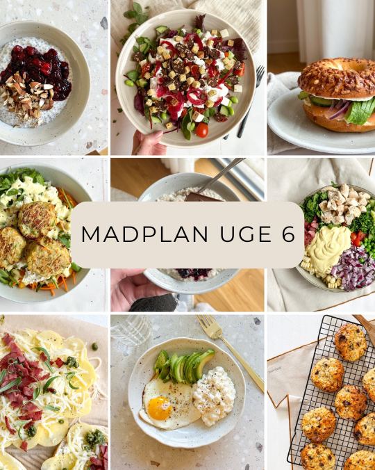 Madplan uge 6