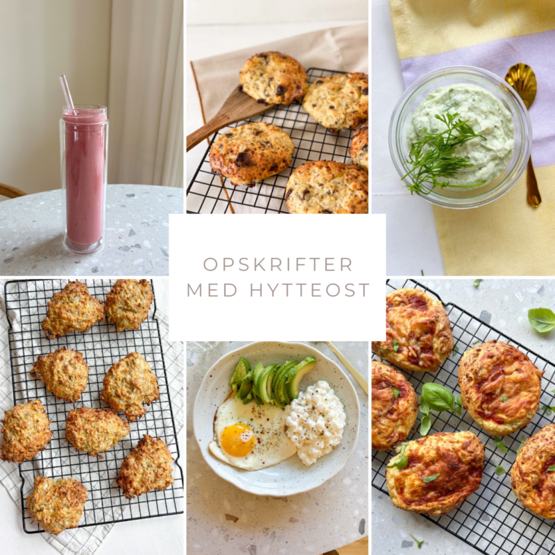 Opskrifter med hytteost